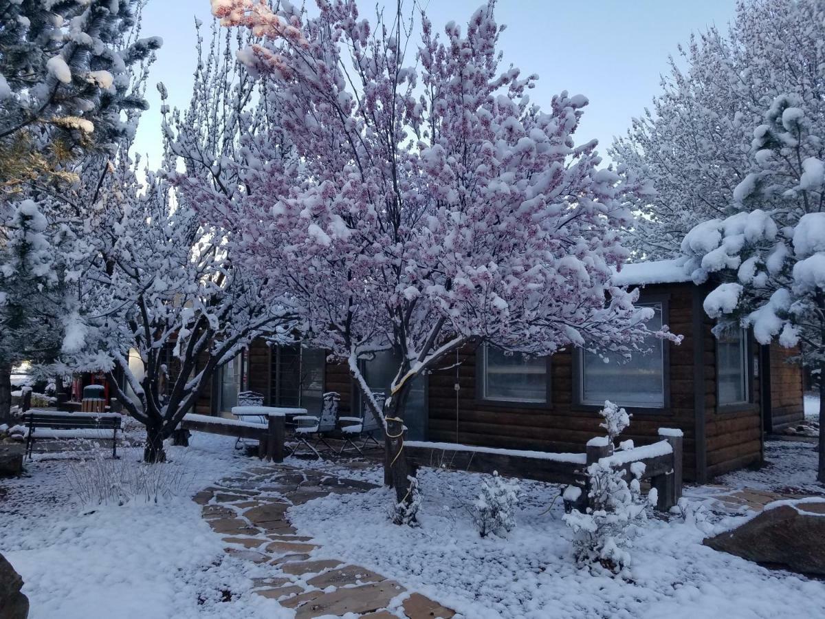 רואידוסו West Winds Lodge מראה חיצוני תמונה